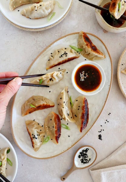 Learn how to make vegetable gyoza from scratch! These Japanese appetizers are tender, crispy on the bottom and loaded with umami flavors.